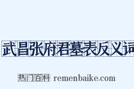 武昌张府君墓表反义词是什么意思的图片